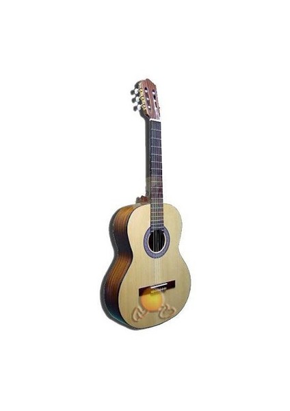 Klasik Gitar Gül RC534MN Gitar Kılıfı + Hediyeli...