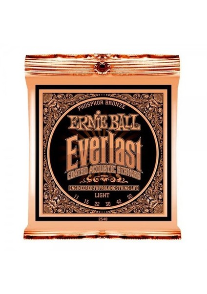 P02548 Everlast Akustik Gitar Teli (Light)