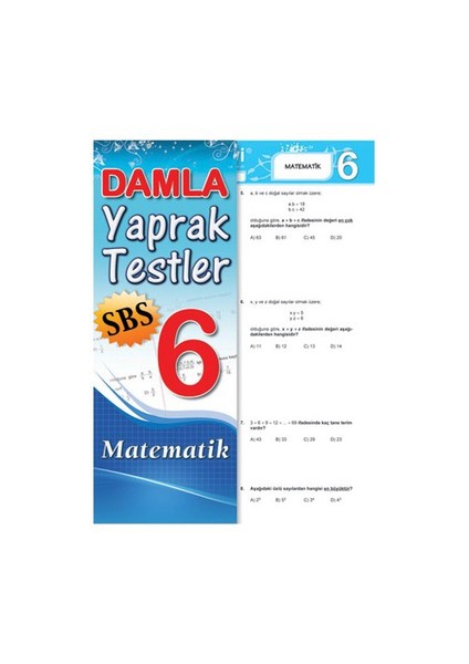 Branş Yaprak Testler 6. Sınıf (matematik)