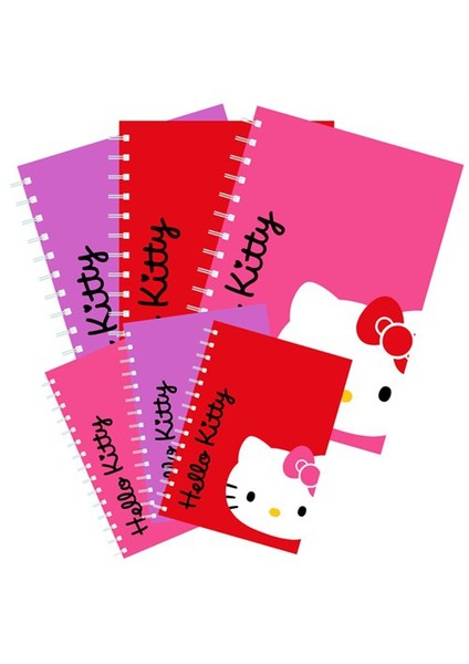 SP.DEFTER A5 96 YP.KARELI