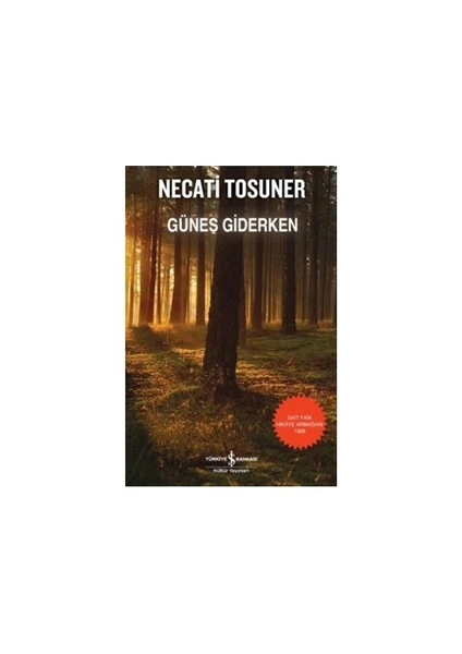 Güneş Giderken - Necati Tosuner