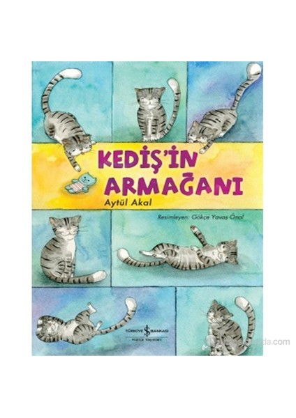 Kediş'in Armağanı - Aytül Akal