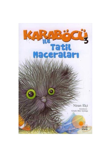 Karaböcü Serisi Set (4 Kitap)