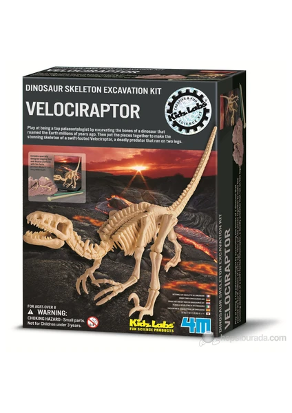 Velociraptor