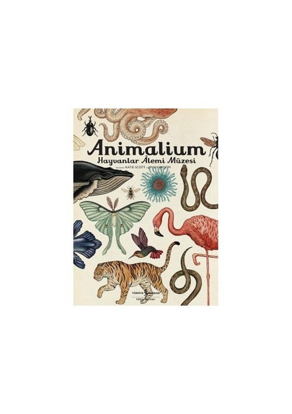 Animalium: Hayvanlar Alemi Müzesi