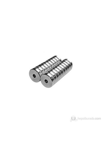 Neodyum Mıknatıs Halka D20xd5x5 Mm (2'Li Paket)
