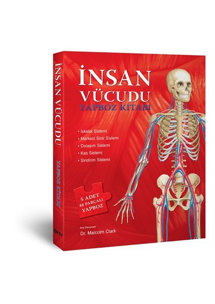 İnsan Vücudu Yapboz Kitabı