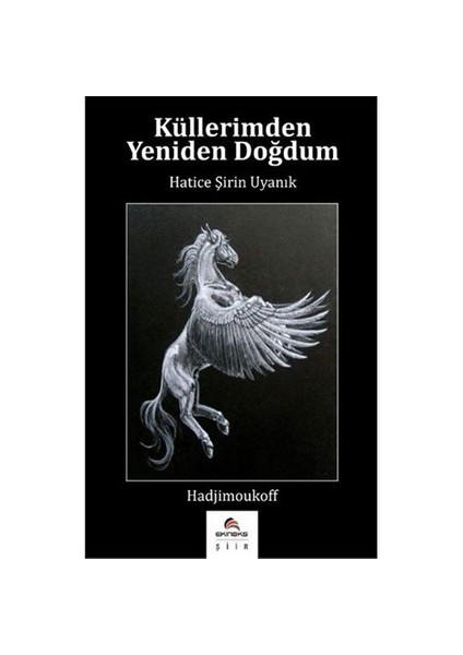 Küllerimden Yeniden Doğdum-Hatice Şirin Uyanık