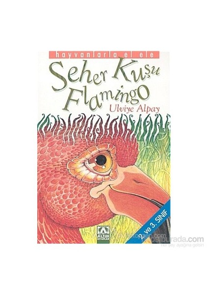 Seher Kuşu Flamingo 2. Ve 3. Sınıf-Ulviye Alpay