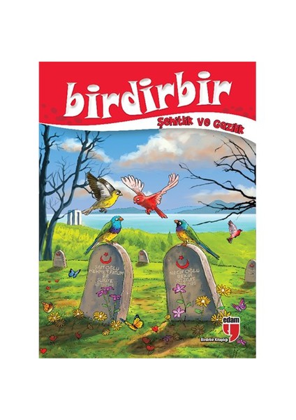 Birdirbir: Şehitlik Ve Gazilik-Kolektif