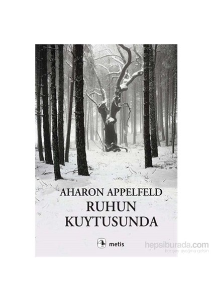 Ruhun Kuytusunda -  Aharon Appelfeld