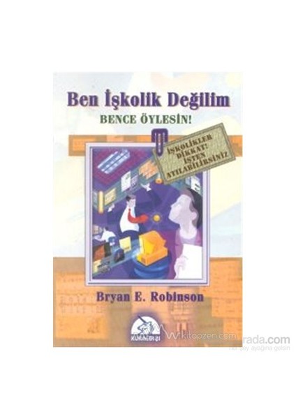 Ben İşkolik Değilim Bence Öylesin!-Bryan E. Robinson