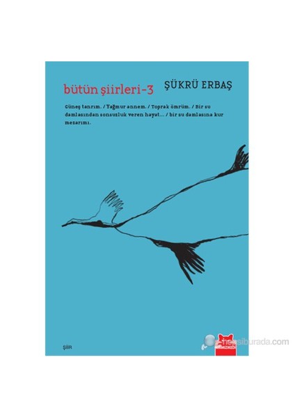 Bütün Şiirleri 3 - Şükrü Erbaş
