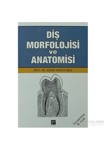 Diş Morfolojisi ve Anatomisi - Hüsnü Yavuz Yılmaz