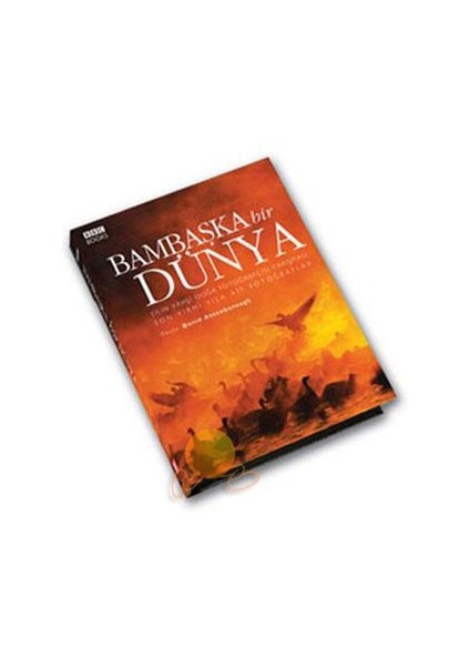 Bambaşka Bir Dünya