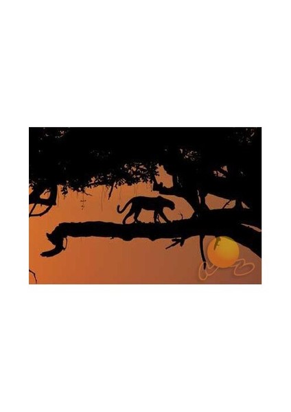 Bambaşka Bir Dünya modelleri