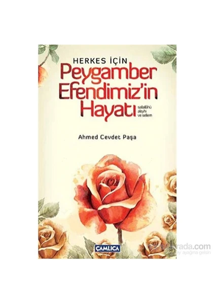 Herkes İçin Peygamber Efendimizin Hayatı - Ahmed Cevdet Paşa