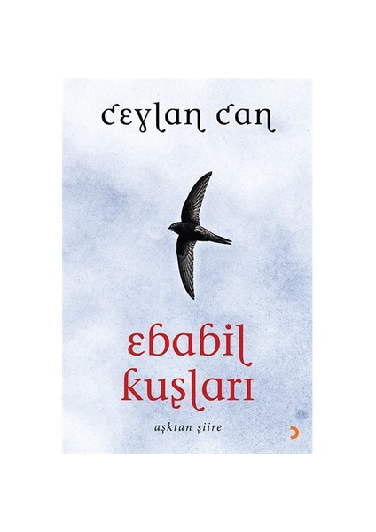 Ebabil Kuşları-Ceylan Can