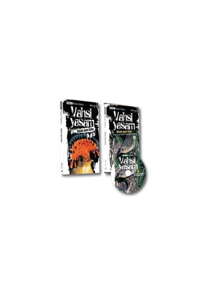 Vahşi Yaşam 2 - Böcek Yiyen Türler (Kitap + Dvd)-Rob Hume