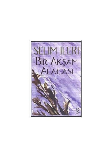 Bir Akşam Alacası