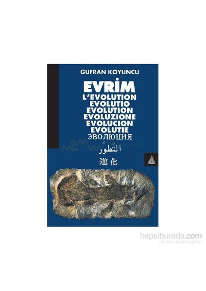 Evrim-Gufran Koyuncu