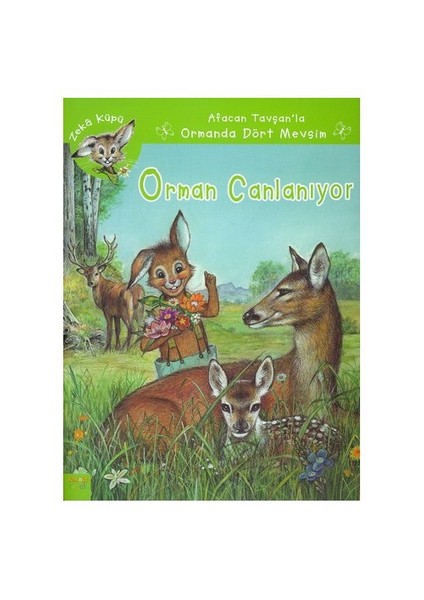 ORMAN CANLANIYOR