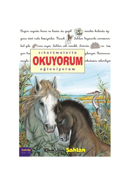 Küçük Tay Şahlan