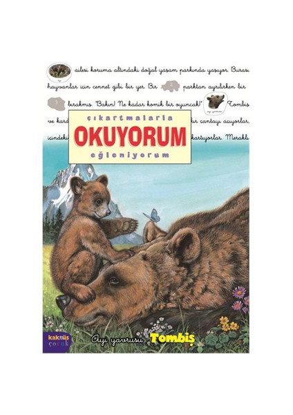 Ayı Yavrusu Tombiş - Delphine Lacharron