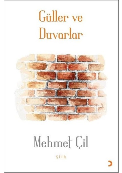Güller Ve Duvarlar