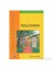Pollyanna-Eleanor H. Porter 1