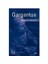 Gargantua 1
