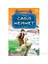 Casus Mehmet (Tarsus)-İsmail Bilgin 1