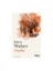Haydut - Robert Walser 1