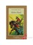 Robin Hood-Howerd Pyle 1