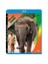 The Last Mahout (Son Fil Bakıcısı) (Blu-Ray Disc) 1