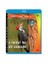 A Forest For All Seasons (Dört Mevsim Ormanı) (Blu-Ray Disc) 1