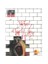 The Wall Limited Edition (Pink Floyd) 1
