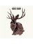 Miike Snow - Happy To You CD 1