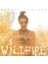 Rachel Platten - Wildfire (CD) 1