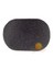WS3 Windshield 1