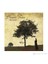 Birsen Tezer-İkinci-Cihan (CD) 1