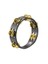CTA2B-BK Brass jingle Wood 8" Compact Tamburin 1