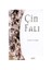 ÇİN FALI 1