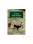 Güneş Yine Doğar-Ernest Hemingway 1