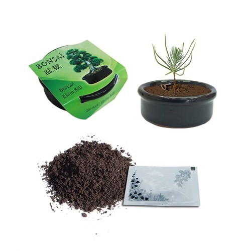 Bonsai Ekim Kiti Karacam Yorumlari
