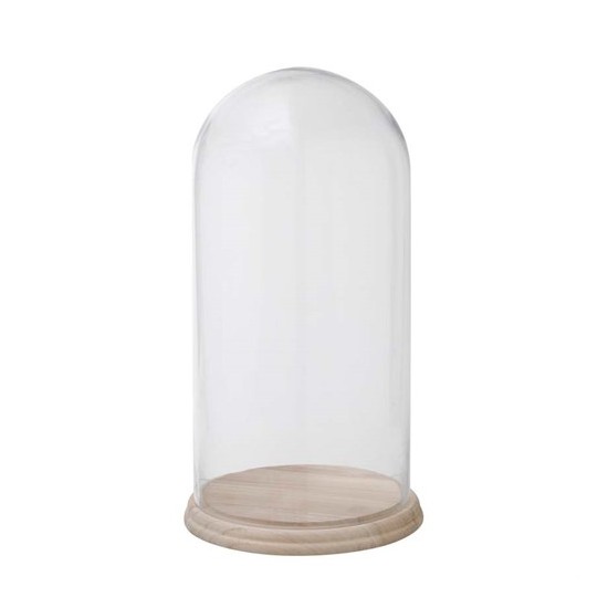 Yargıcı Dekoratif Cam Fanus ( 25 X 48 Cm) Fiyatı