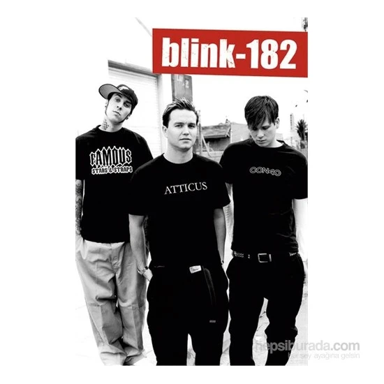 Blink 182 Black & White Maxi Poster