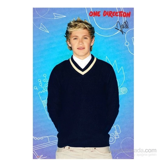One Direction Niall Pop Maxi Poster