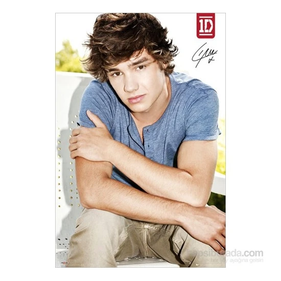 One Direction Liam S.O.S Maxi Poster
