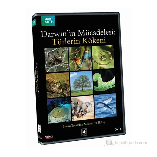 Struggle The Evolution Of The Origin Of The Species (Darwin'ın Mücadelesi: Türlerin Kökeni) (DVD)